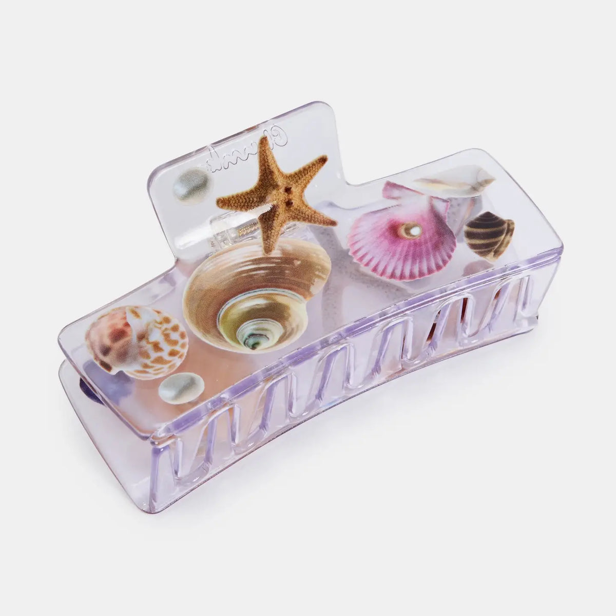 Box Claw in Seashell