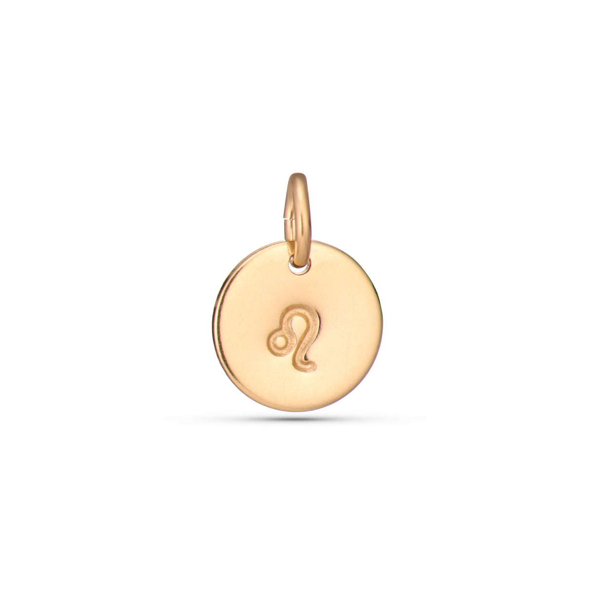 Zodiac Charms