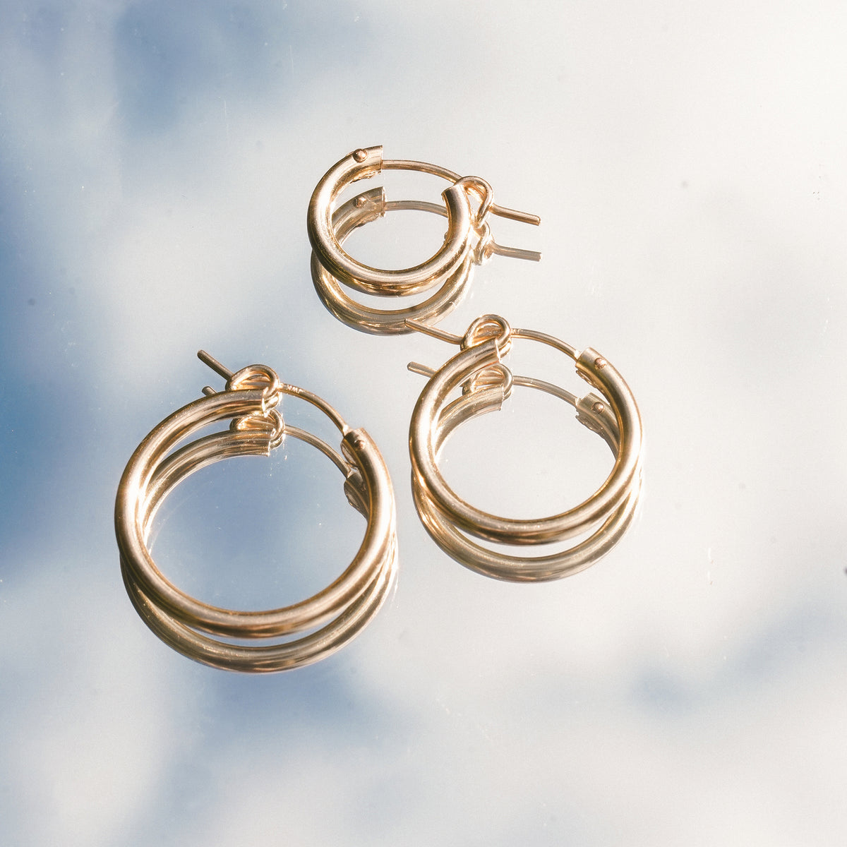 Palomino Hoops