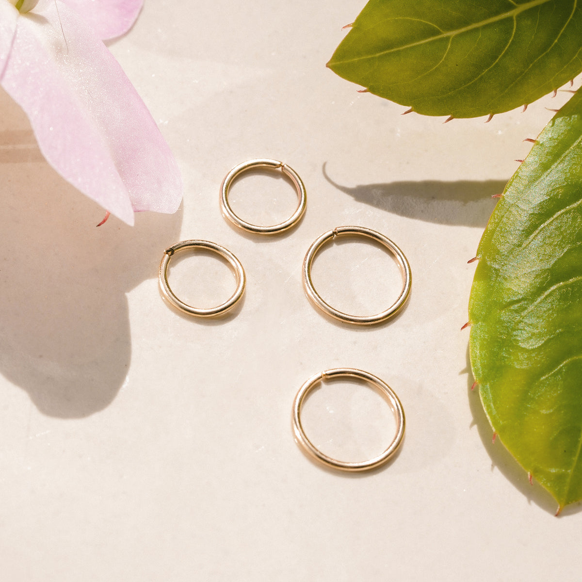 Dream Hoops