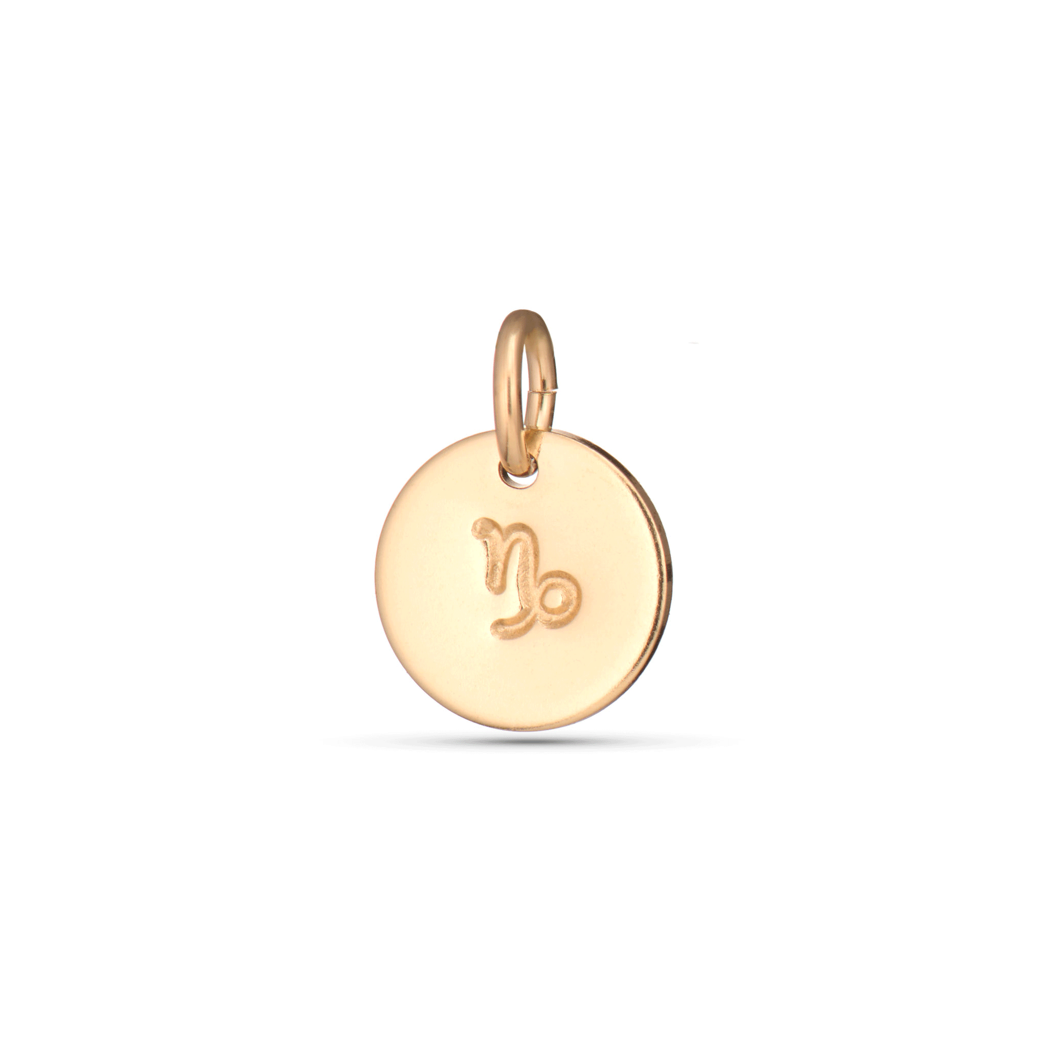 Zodiac Charms