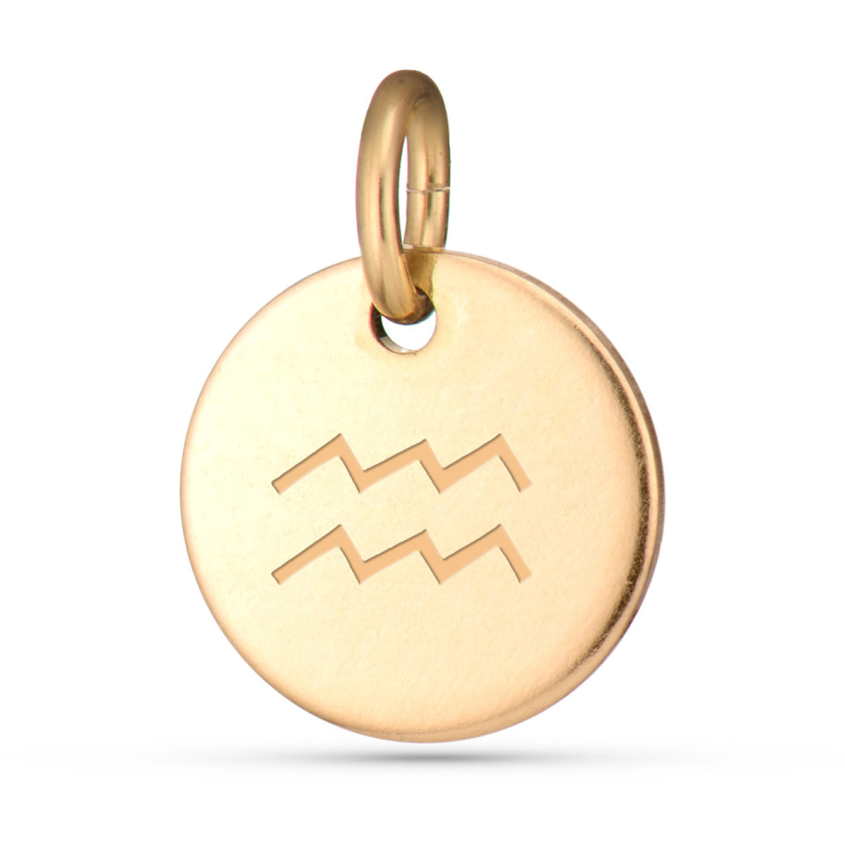 Zodiac Charms