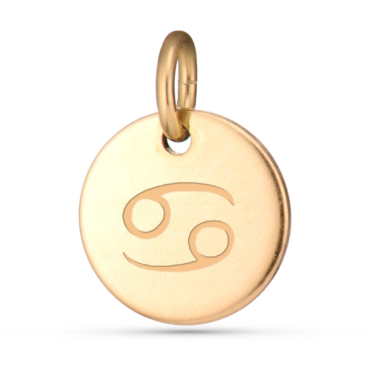 Zodiac Charms