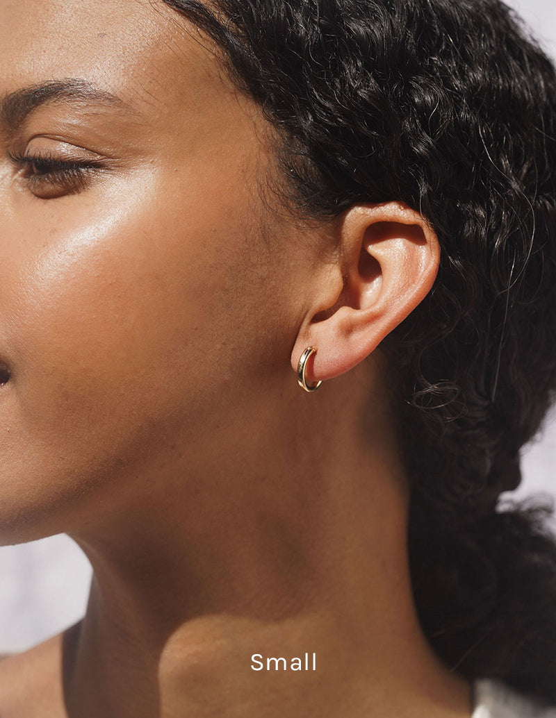 Palomino Hoops