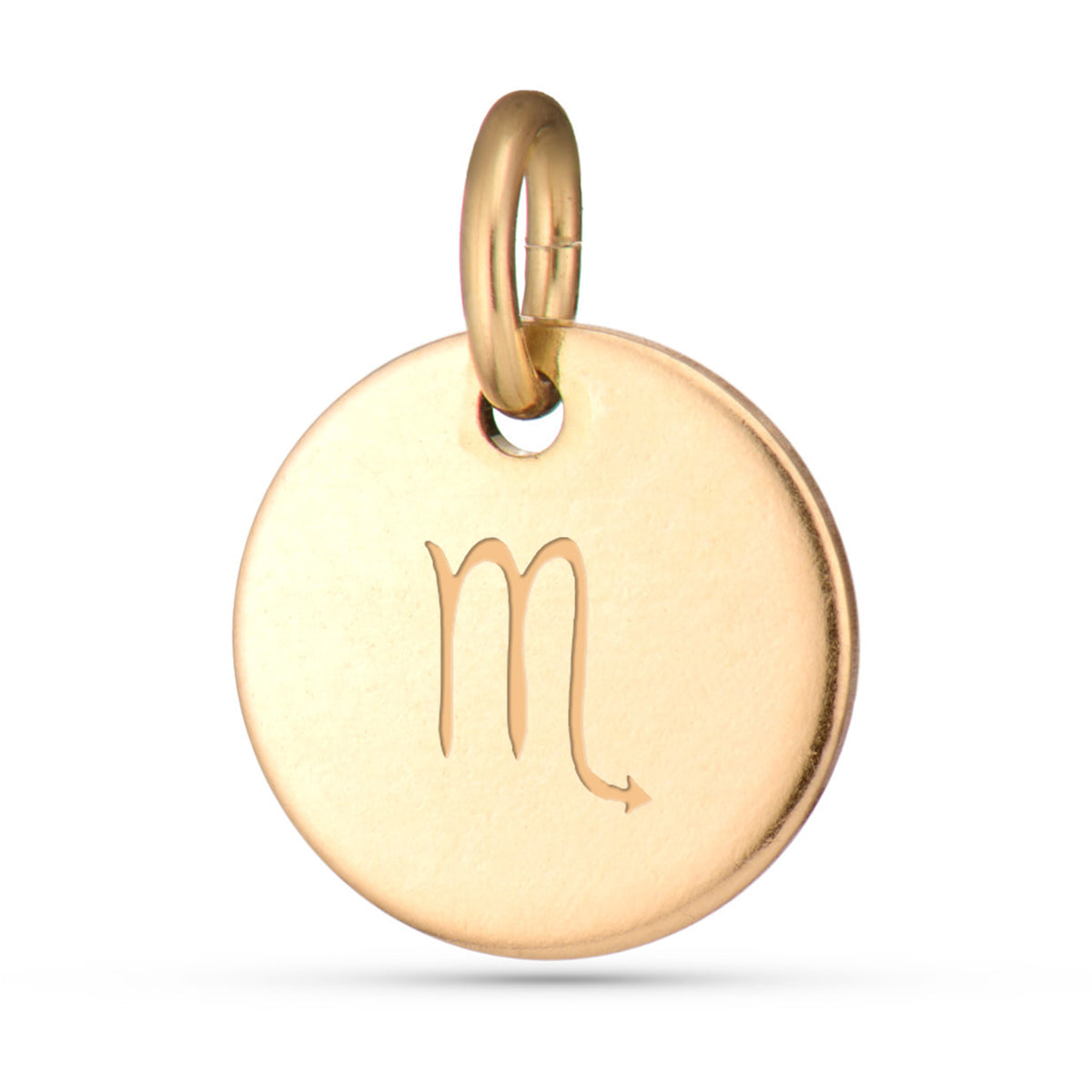 Zodiac Charms