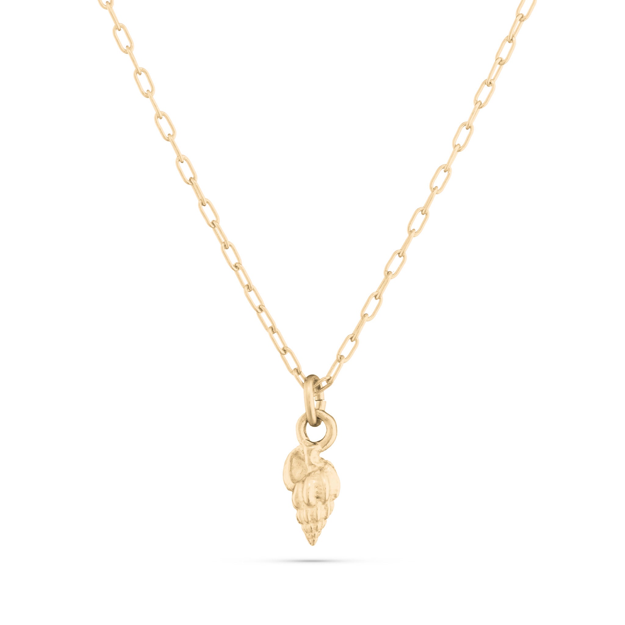 Seashell Necklace/Charm