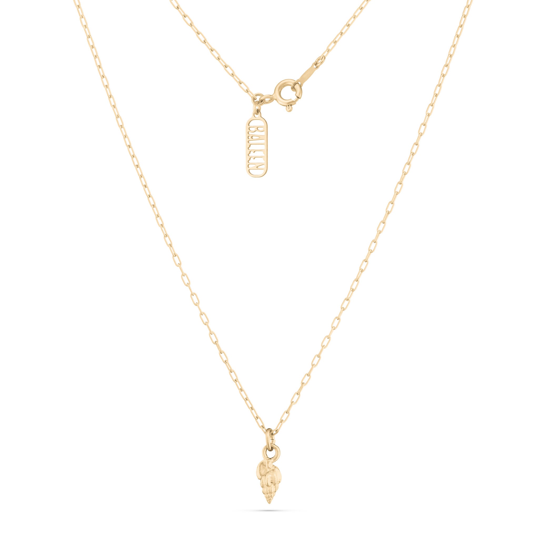 Seashell Necklace/Charm