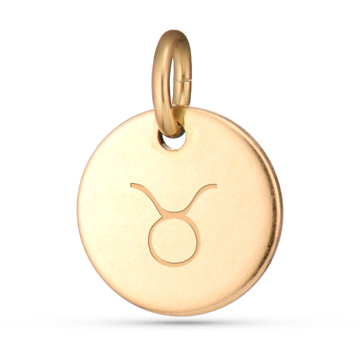Zodiac Charms