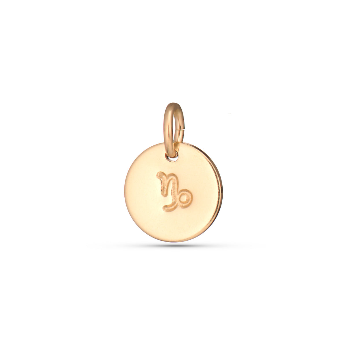 Zodiac Charms