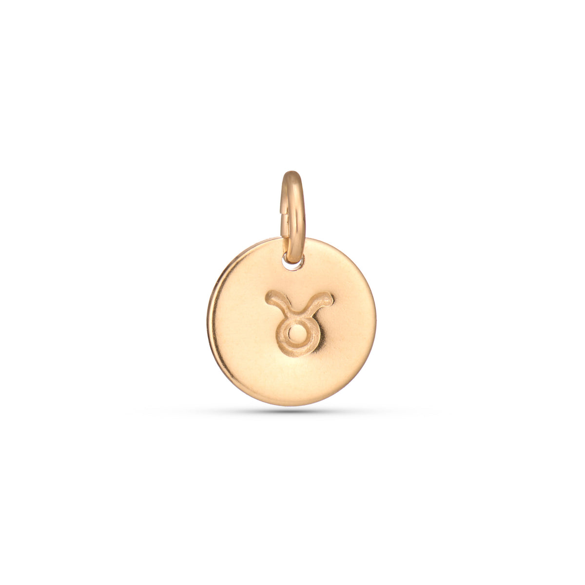 Zodiac Charms