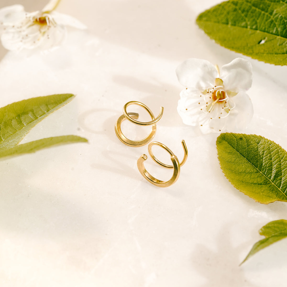 Square Nautilus Hoops