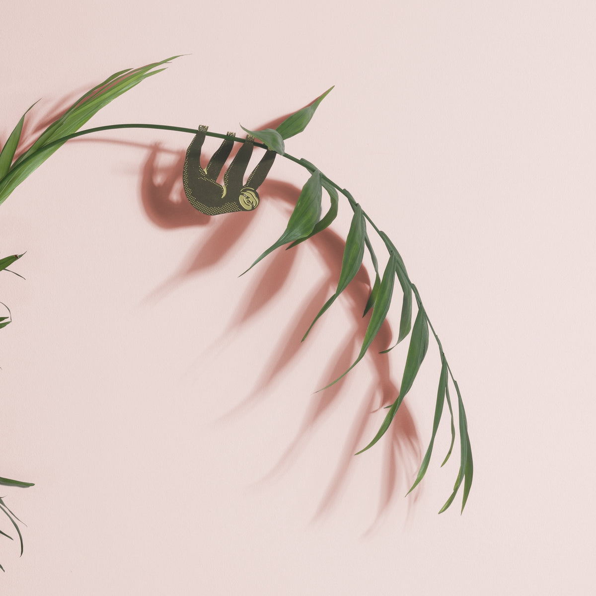 Plant Animal - Sloth